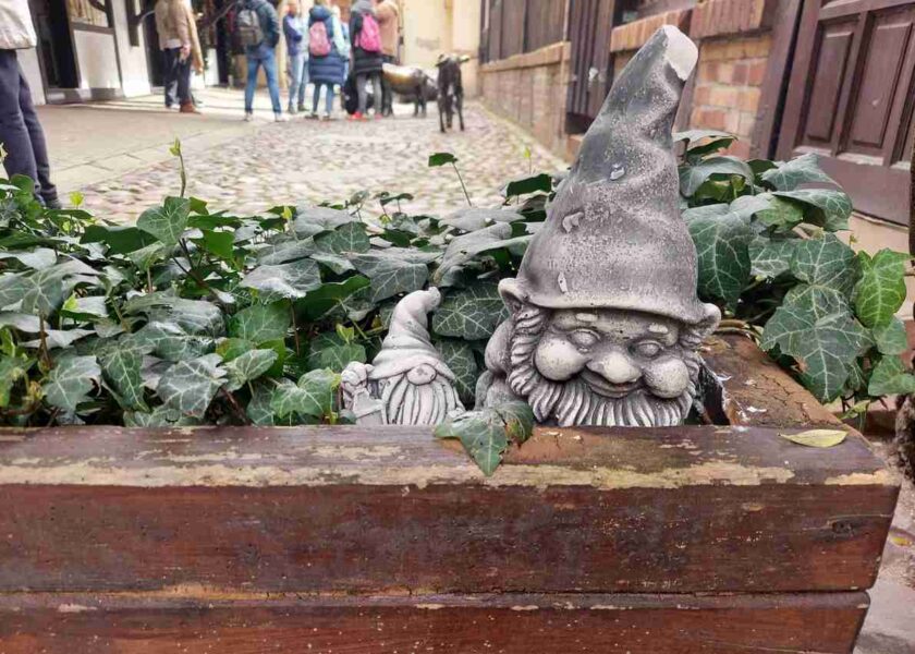 Вроцлав — середньовіччя та сучасність