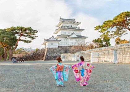 Путешествие в национальный парк Фудзи-Хаконе-Идзу (3 дня)