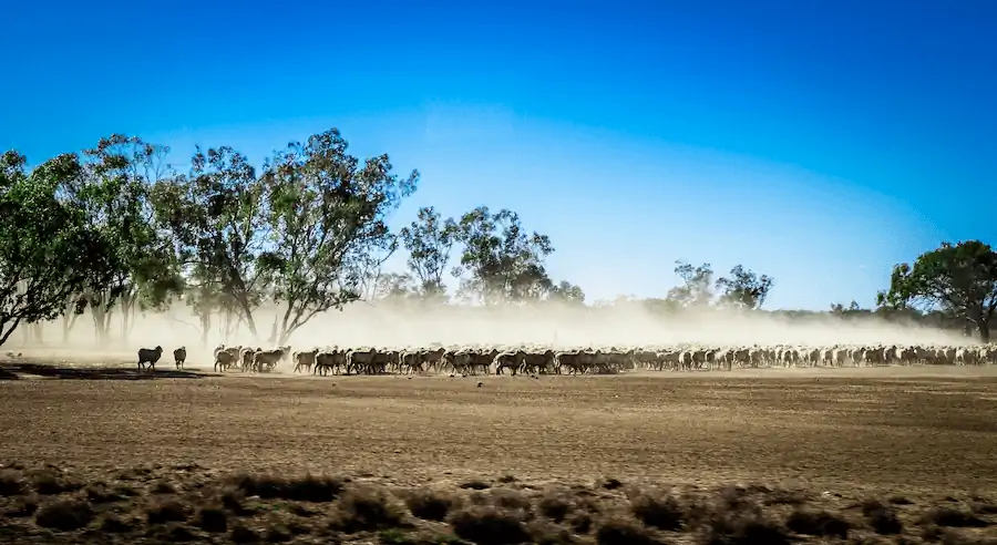lightning ridge3 Lightning Ridge