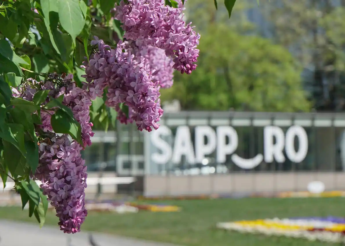get to know sapporo3 Саппоро,Гид в Японии,Экскурсии на русском в Саппоро,парк Одори,храм Хоккайдо