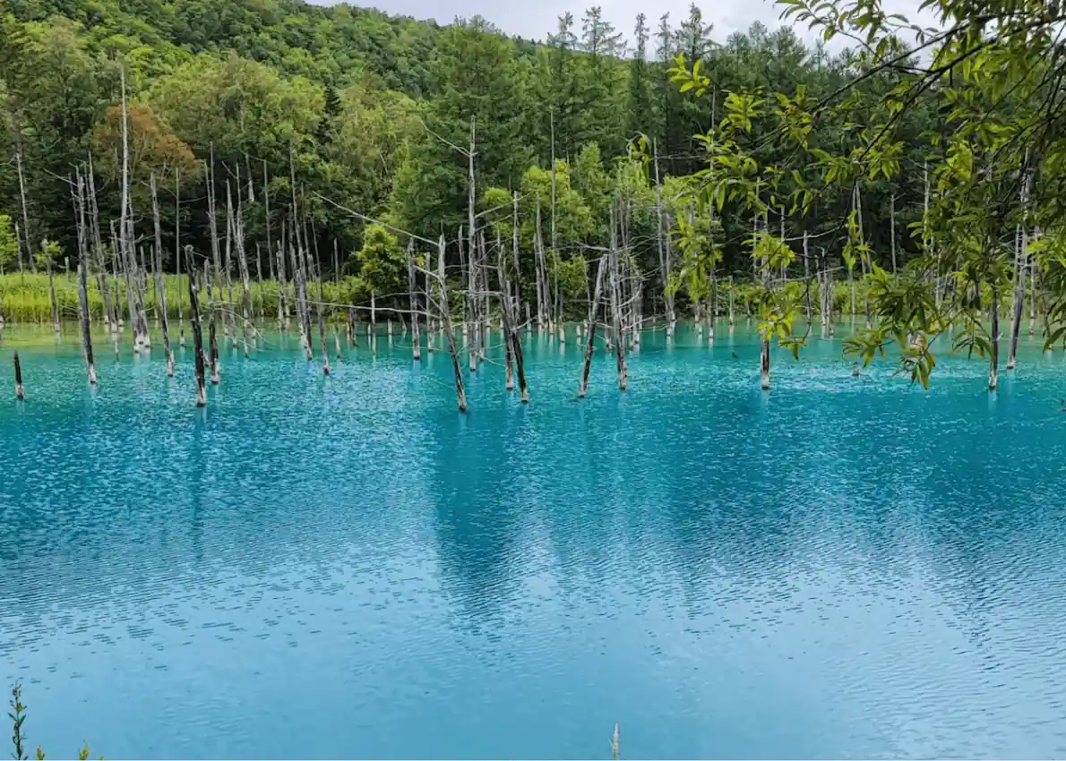 Фурано экскурсия