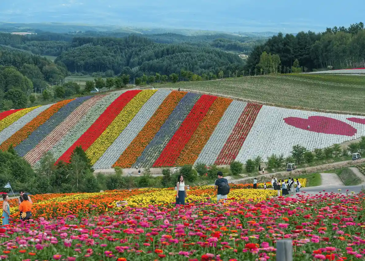 magic-furano4