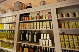 what the French bring back from their travels