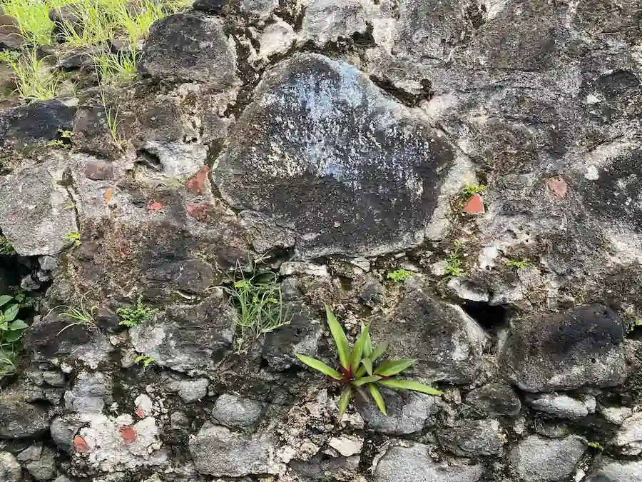 grenada-island4