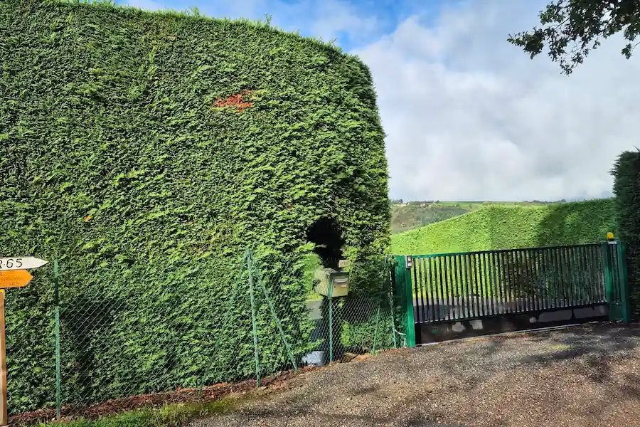 paths_Camino_de_Santiago