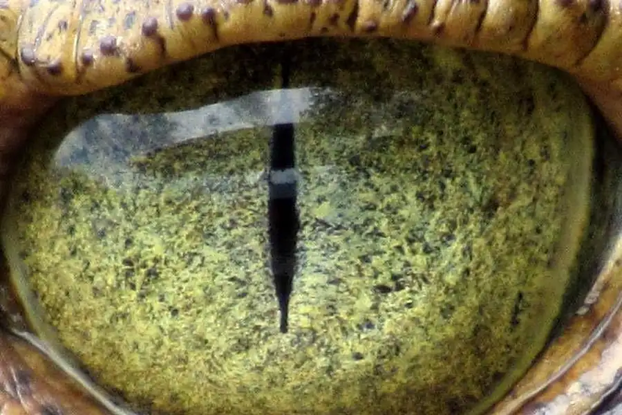 Вот она — настоящая Коста-Рика 2 Real-Costa-Rica