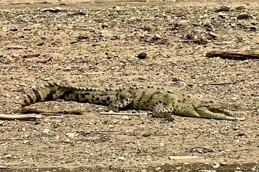 Вот она — настоящая Коста-Рика 4 Real-Costa-Rica