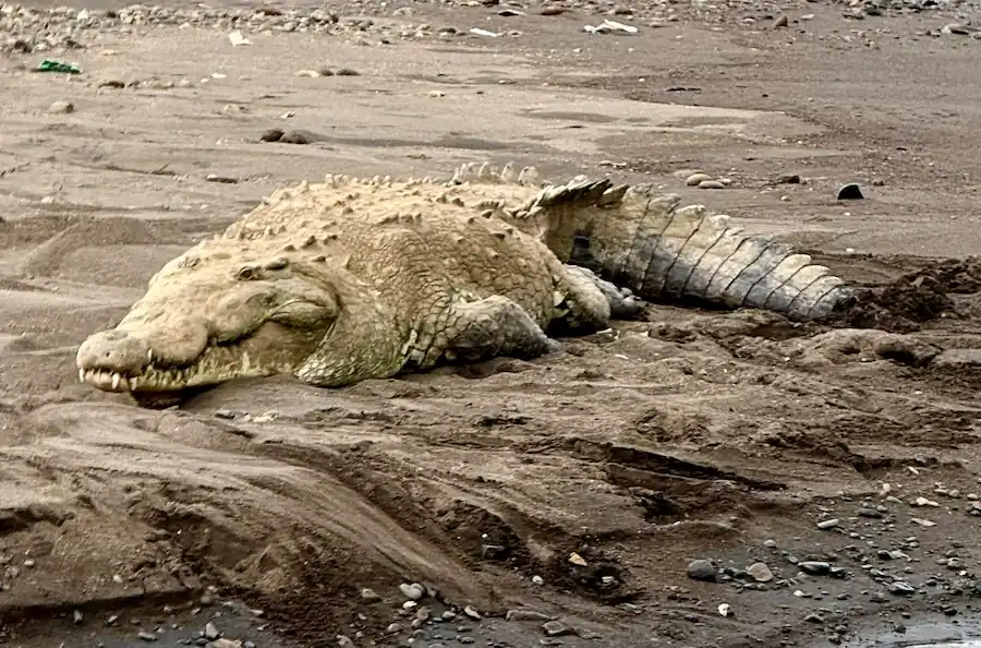 Вот она — настоящая Коста-Рика 5 Real-Costa-Rica