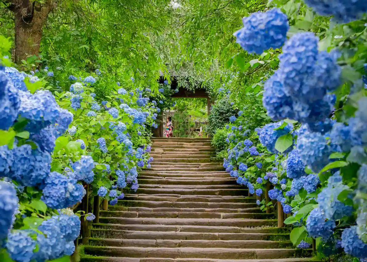 kamakura-japan-heart