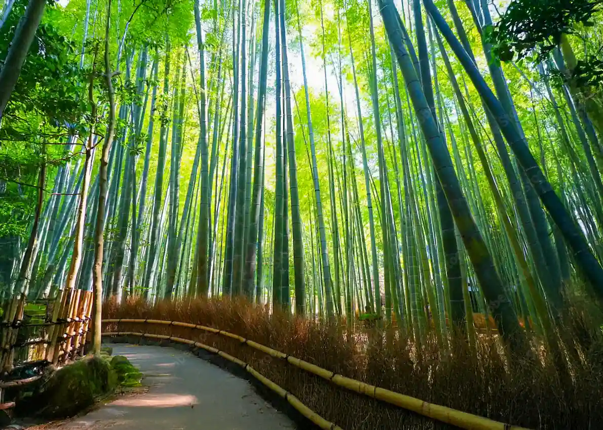 kamakura-japan-heart