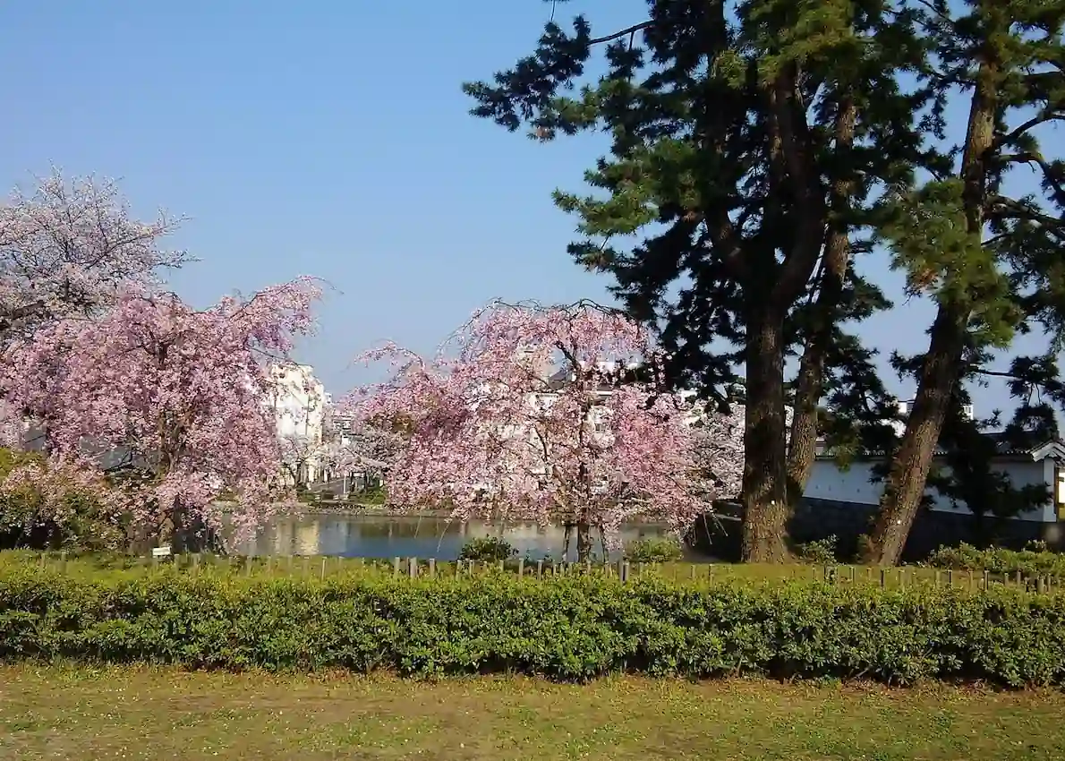 Odawara_Economic_Powerhouse