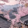 seoul-busan-cherry-blossoms