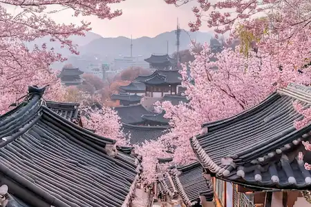 Сеул – Чеджу – Кёнджу – Пусан: Тур Сакуры (10 дней)