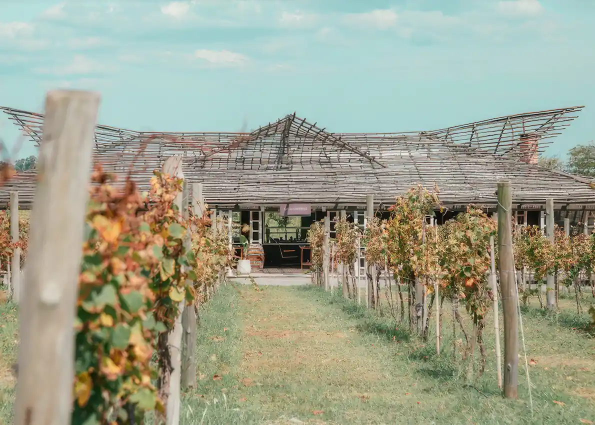 wine-tour-buenos-aires