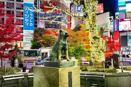 Индивидуальный тур в Токио на кабриолете