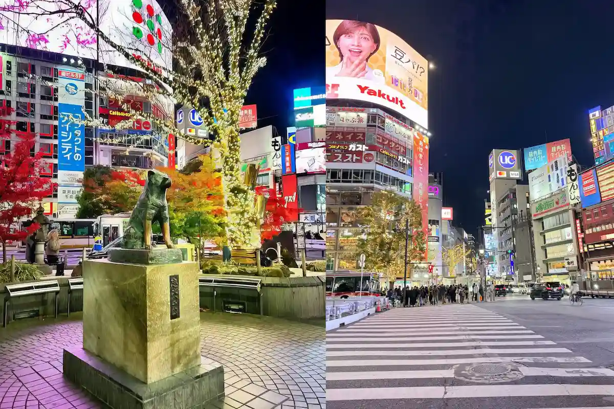 Индивидуальный тур в Токио на кабриолете