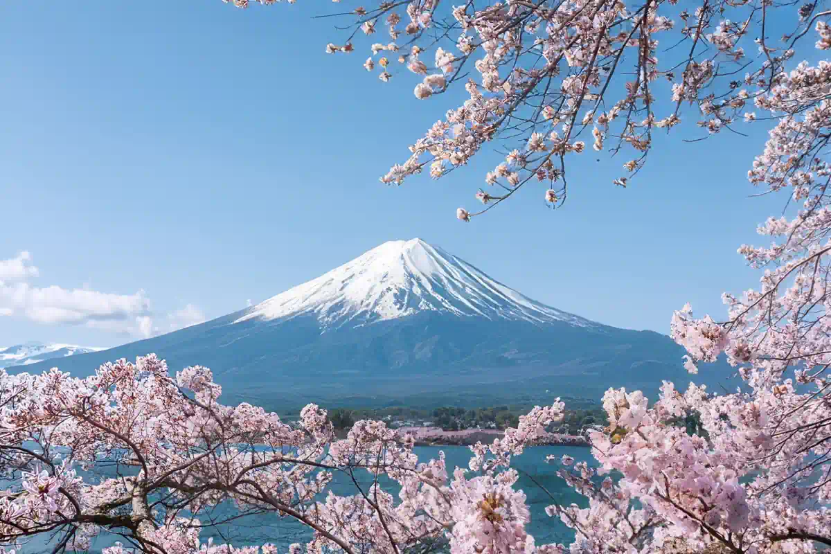 Tokyo Fuji Sakura